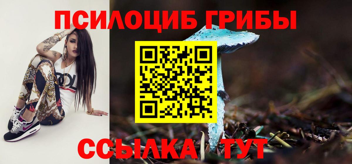 Галлюциногенные грибы Cubensis  Вход с VPN  Борзя 