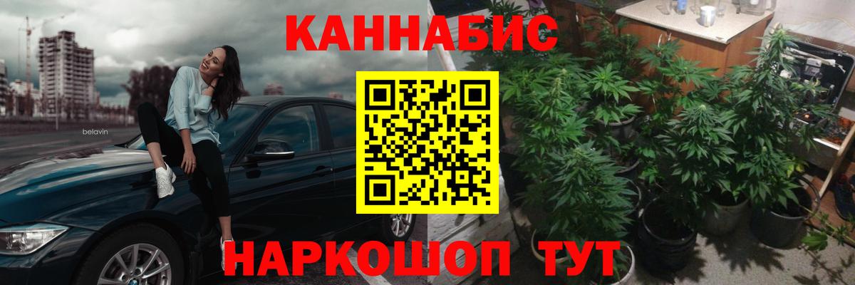 Бошки Шишки VHQ Борзя